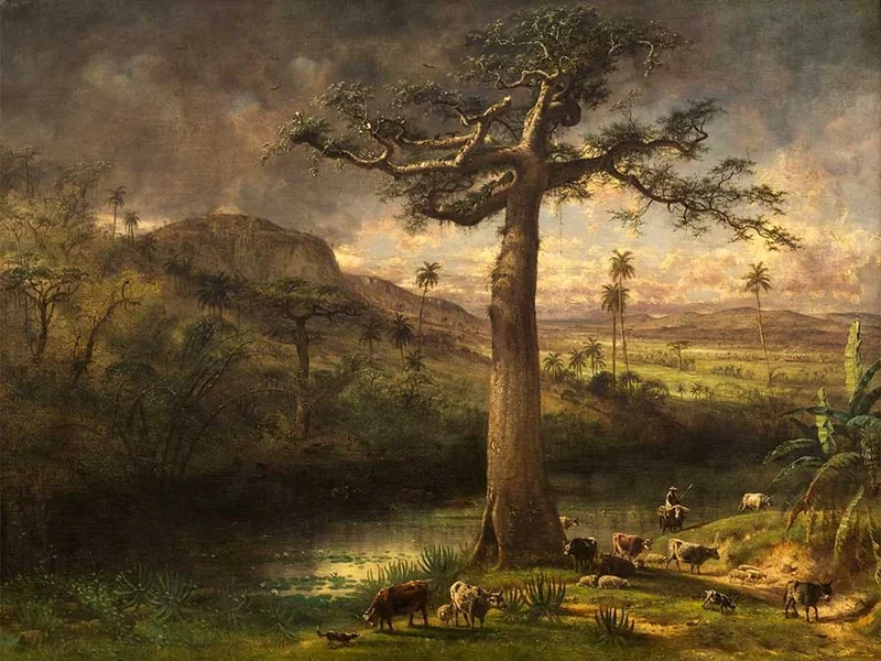 1818-Henri Cleenewerck - Un albero di ceiba a San Antonio de los Baños